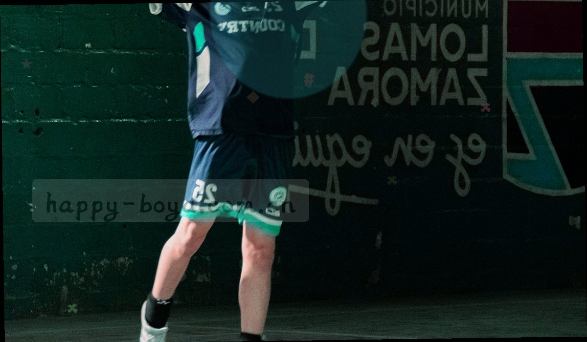 记录导出、分类固定、规则核对、反馈处理四条处理路径的流程示意